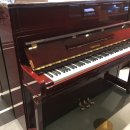 영창비닐 이미지