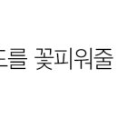 꿀템스토어