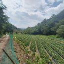 산아래농장 이미지