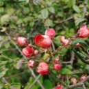 유곡2리 마을회관 이미지