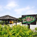 이천농업테마공원 버드나무쉼터 이미지