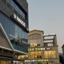 야옹아 멍멍해봐(조례호수점) | 순천 조례호수공원 그릴 요리, 파스타 맛집 하고스 추천 후기