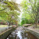 봉학골산림욕장 이미지