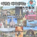 신신여행사