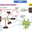 모든 바이오 이미지