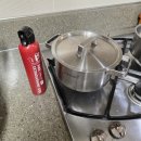 핀 독 | 와치독 가정용소화기 후기 | 쌍둥이맘의 찐 솔직 리뷰 (feat. 장단점 총정리)