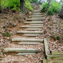 원주굽이길 2코스 700년노송길 이미지