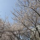 준경목장 이미지