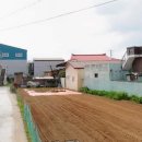 소3-118 Daum카페