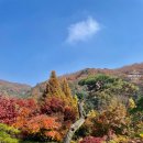 호텔야자곤지암점 | 화담숲 입장시간 지각 모노레일 지각 후기