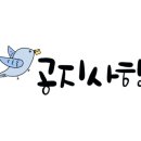 UFC 국제 GYM 이미지