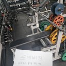 기구 여러가지 싸게 팝니다 플레이트 인클라인 랫풀다운 와이드 체스트 인아웃타이 펙덱플라이 하프렉 벤치프레스 디클라인 힙익스텐션 이미지