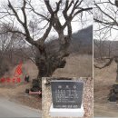 감우리 이미지