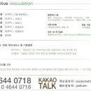 퍼피대디 이미지