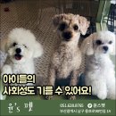 윤스피부미용