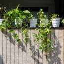 세인치과의원 이미지