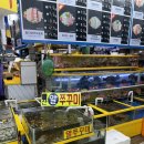 가락시장역6번출입구 | 가락시장 알쭈꾸미 샤브샤브 맛집 (포항수산, 영재수산) 새벽까지 하는 식당