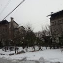 아젤리아 펜션 이미지