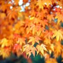 파크하비오휘트니스&골프 이미지