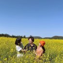 함덕해물라면오빠집 이미지