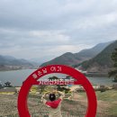제일목장 | 전남 4월 꽃구경 가볼만한곳 구례 지리산치즈랜드 수선화 개화 상황