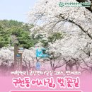 무주읍144 이미지