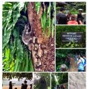 객코 | 안다만 랑카위 리조트 네이쳐 투어 후기 (Adaman Langkawi Nature Tour)