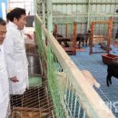 친환경 염소농장 이미지