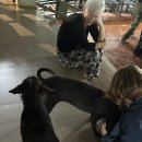 코끼리약국 | 🐘태국 치앙마이 코끼리 보호센터_일주일 자원봉사 후기ENP(Elephant Nature Park) 첫날 - 월요일