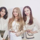 다솜컴퍼니 이미지