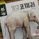 별삐아제어린이집 이미지
