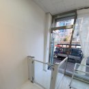 멍실멍실 이미지