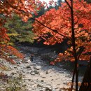 10월14일(금요일) 백담계곡 시리즈2탄 가을~설악산의 단풍 트레킹 이미지