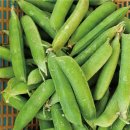 이재숙농장 이미지