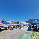 화순불미나리 이미지