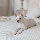 수종합동물병원 이미지