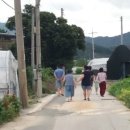 청포농장 네이버블로그