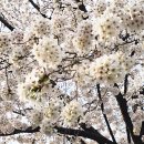 대구광역시청 산격청사 이미지