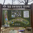 청운오토캠핑장 이미지