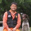 필애견훈련학교 이미지