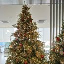 부곡원조 메기탕 이미지