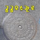 제주노른자부동산중개 이미지