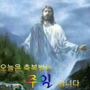 무괴아심 이미지