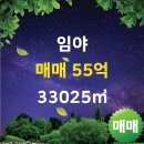골드부동산 공인중개사사무소 이미지
