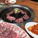 청오돼지들의세상 이미지