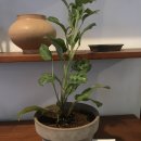 뉴힐링타임 이미지