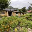 홍천단아독채펜션 이미지