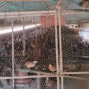 대장군식당 이미지