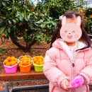 정우농장2 이미지