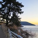 소노캄 거제 이미지